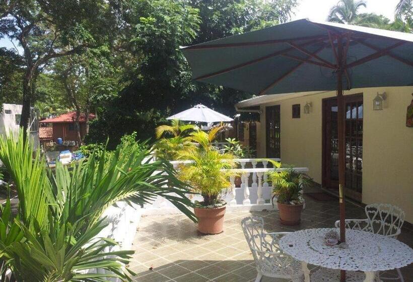 Hibiscus House Bed And Breakfast