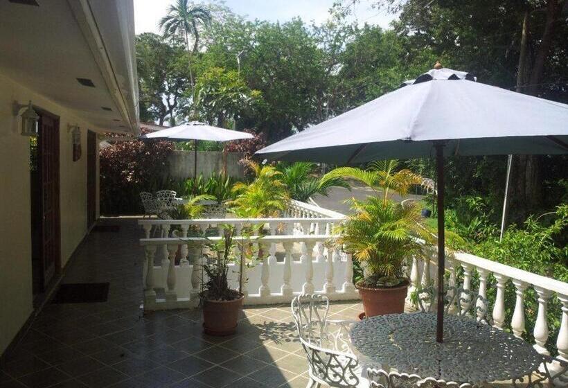 Hibiscus House Bed And Breakfast