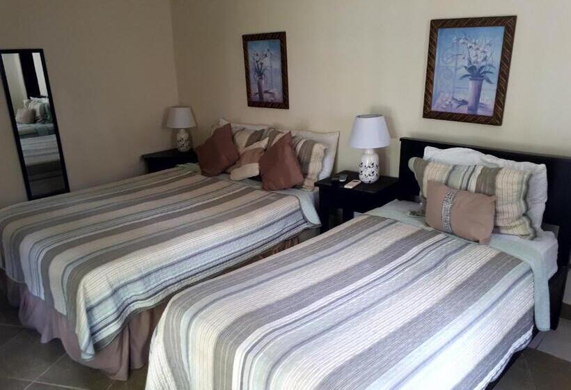 Hibiscus House Bed And Breakfast