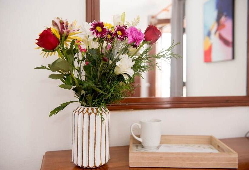 בית מלון כפרי Acapulco