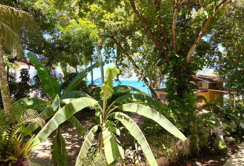 בית מלון כפרי Alegria