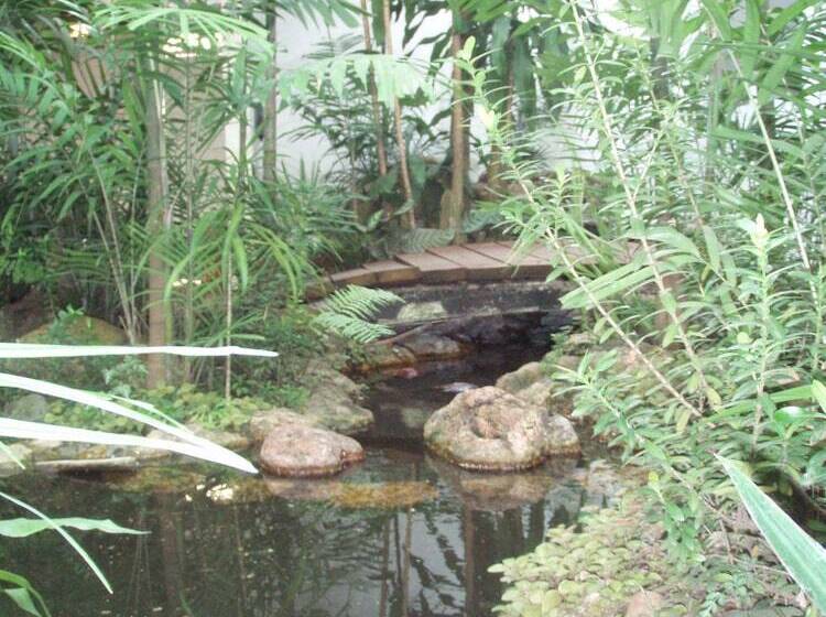 Отель Baru Lodge Panama