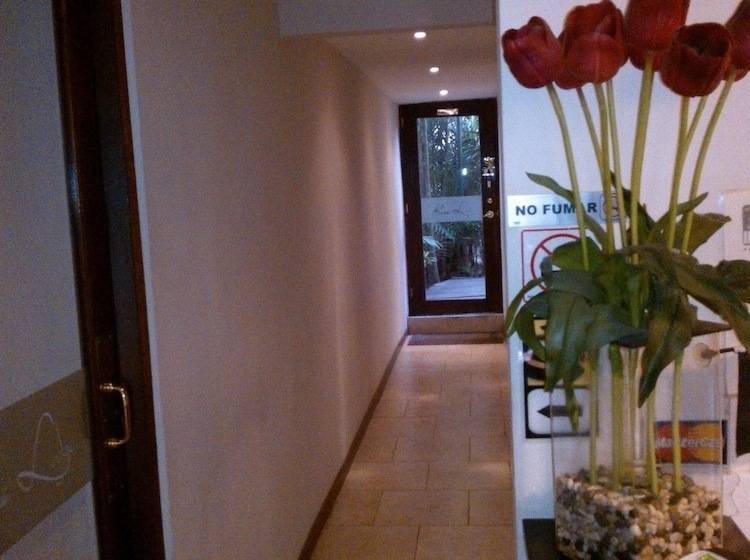 Отель Baru Lodge Panama