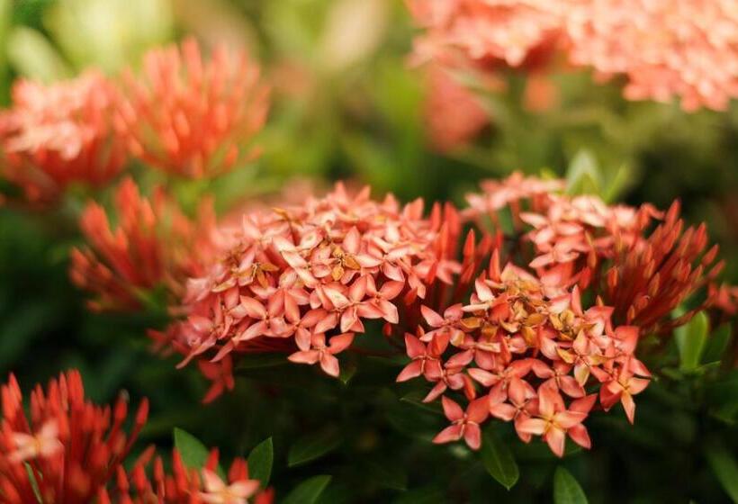 酒店 Casa Guardia Panama