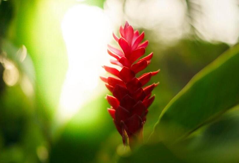 酒店 Casa Guardia Panama