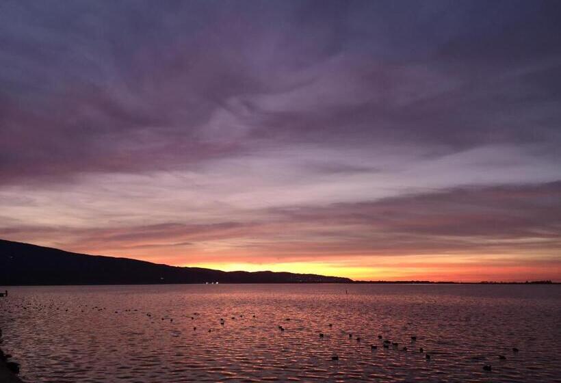 בית מלון כפרי Conchiglia