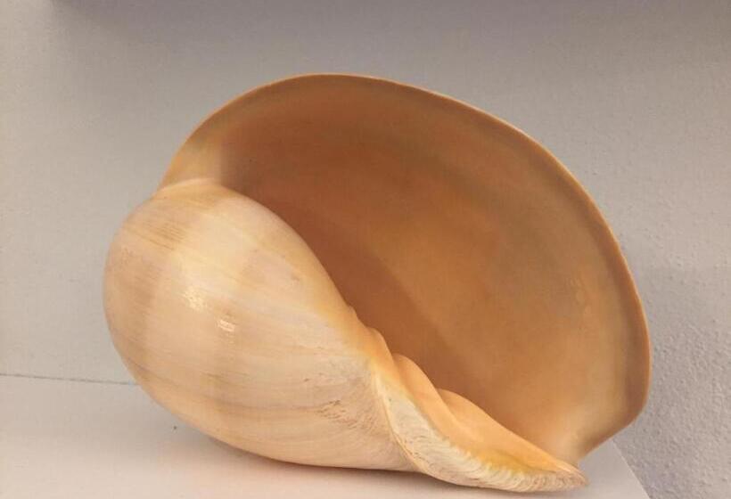 בית מלון כפרי Conchiglia