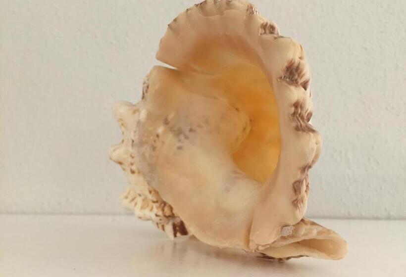 בית מלון כפרי Conchiglia