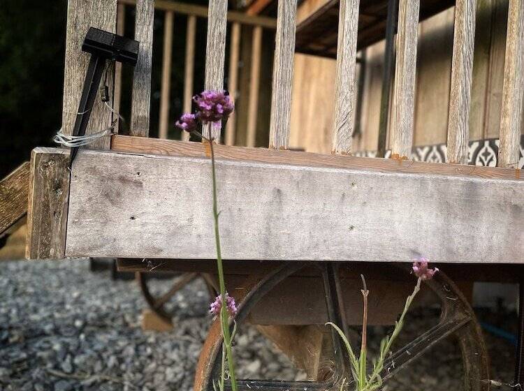 בית מלון כפרי Hillcroft Accommodation