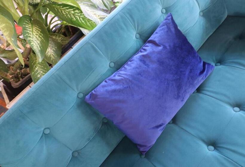 هتل Holland Lodge Paramaribo