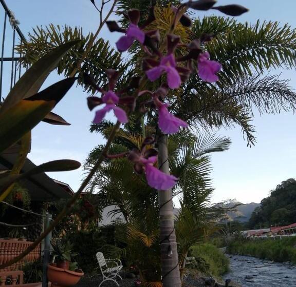 فندق Hostal Boquete