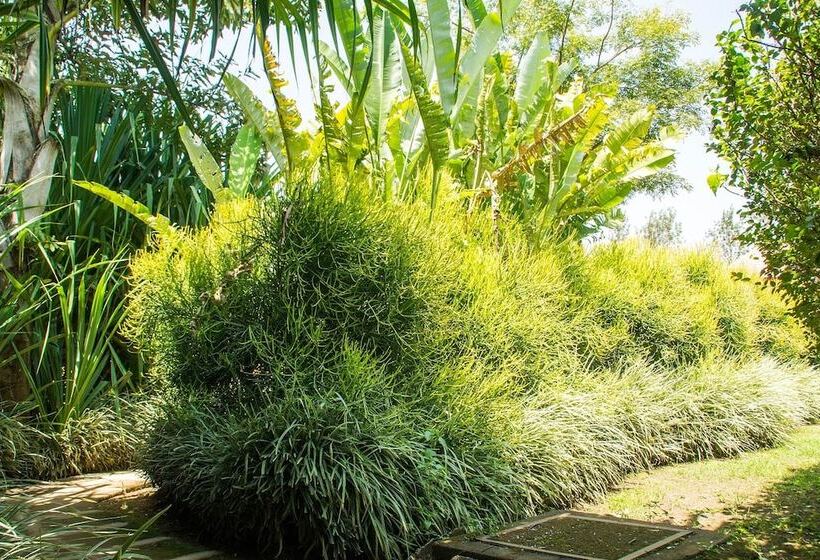 هتل Kabalega Resort   Masindi