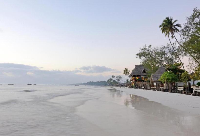 فندق Kaure Sand Beach Lodge