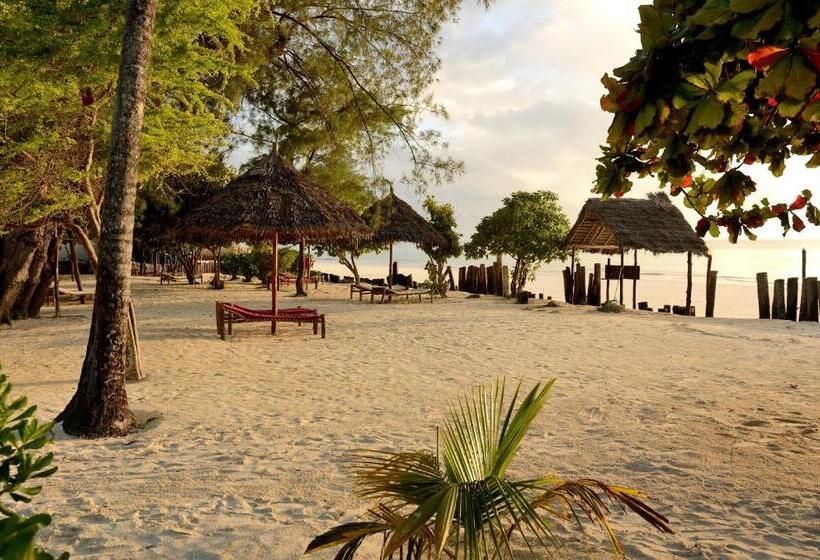 فندق Kaure Sand Beach Lodge