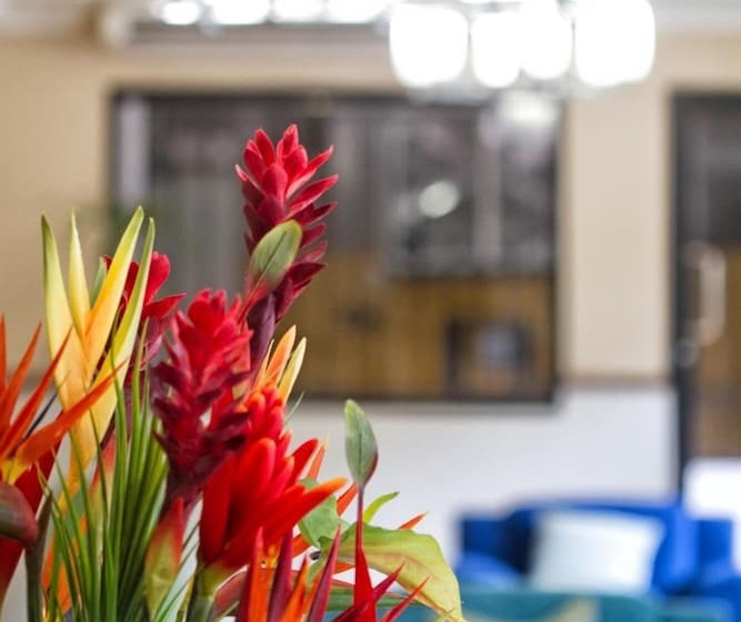 فندق Milan Panama