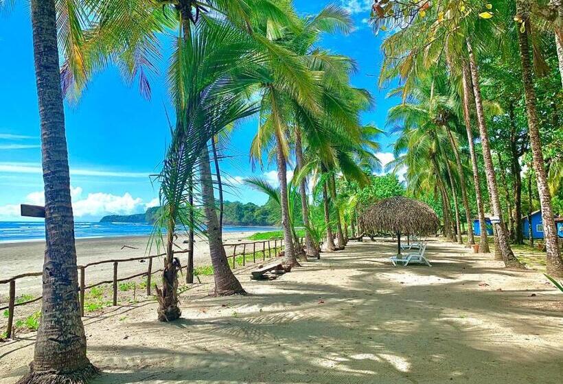 酒店 Oasis & Surf Camp