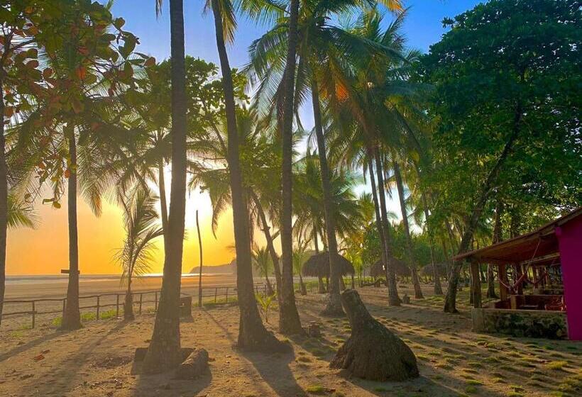 酒店 Oasis & Surf Camp