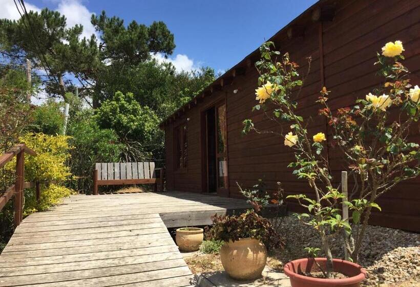 هتل Posada Cova Del Sol