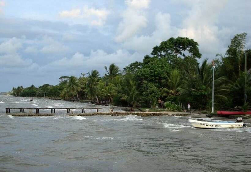 酒店 Salvador Gaviota