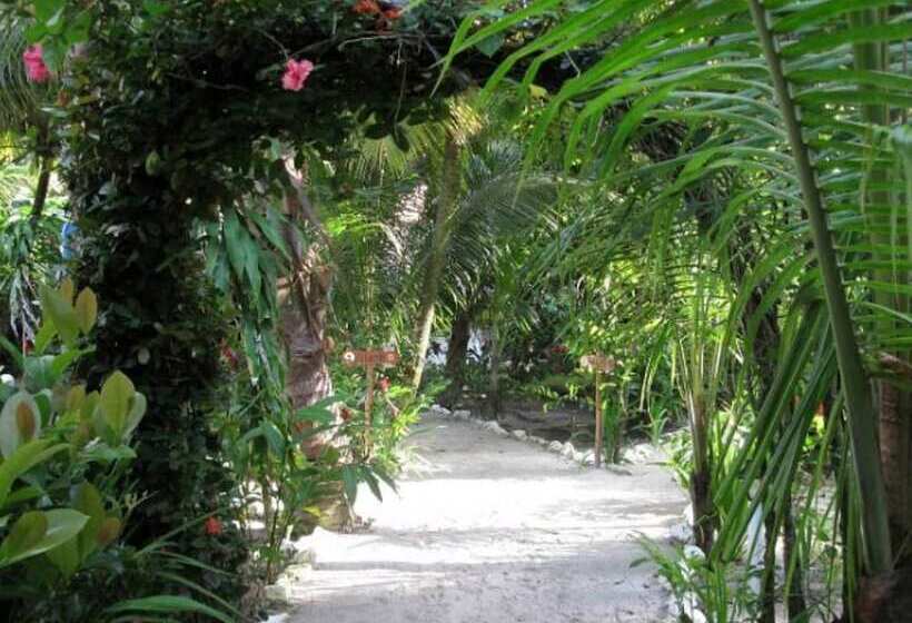 酒店 Salvador Gaviota