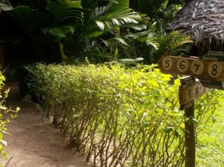 酒店 Salvador Gaviota