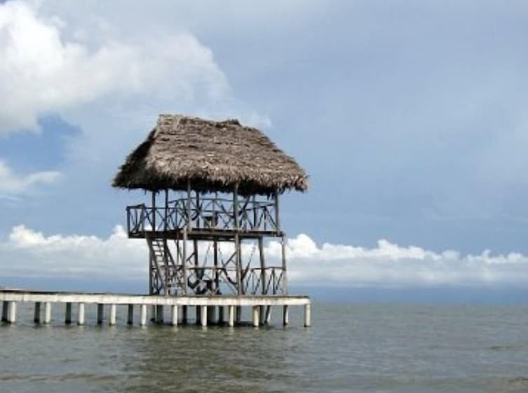 酒店 Salvador Gaviota