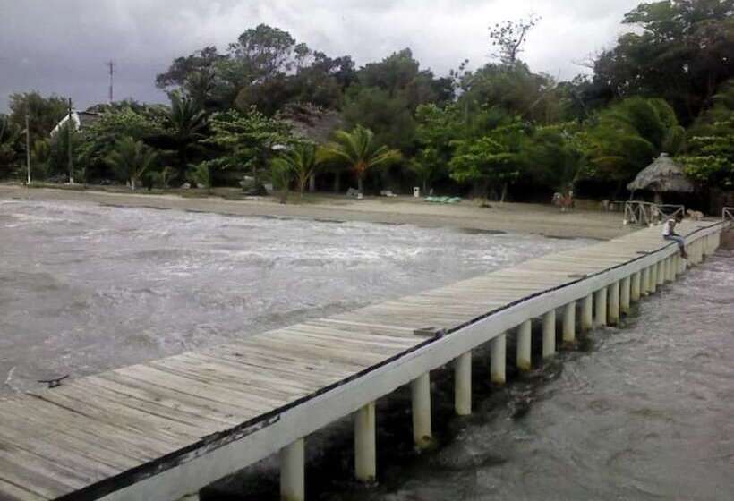 酒店 Salvador Gaviota