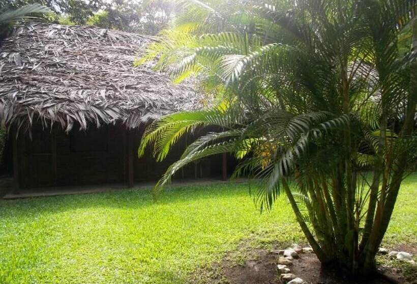 酒店 Salvador Gaviota