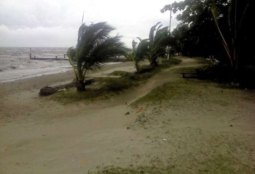 酒店 Salvador Gaviota