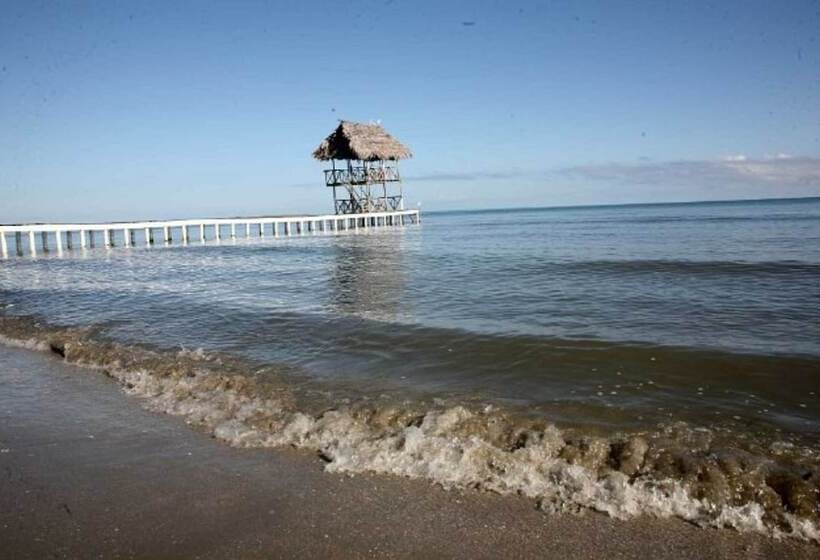 酒店 Salvador Gaviota