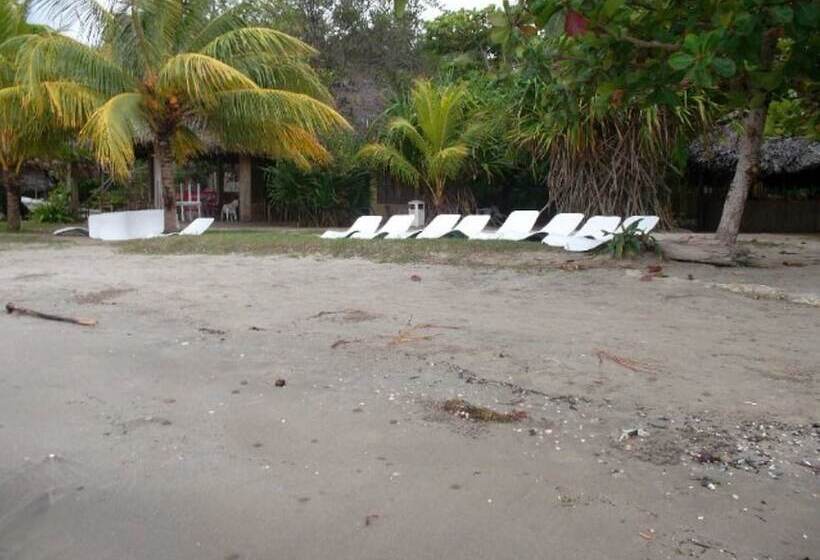 酒店 Salvador Gaviota