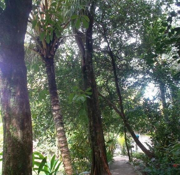 酒店 Salvador Gaviota