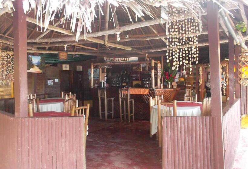 酒店 Salvador Gaviota