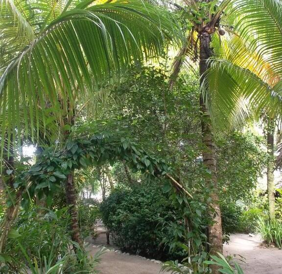 酒店 Salvador Gaviota