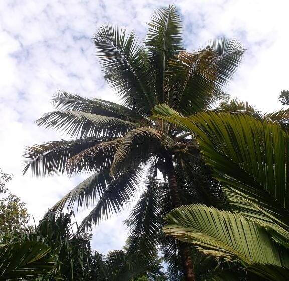 酒店 Salvador Gaviota