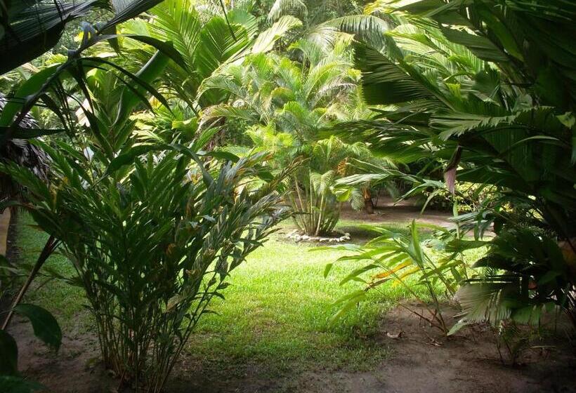 酒店 Salvador Gaviota