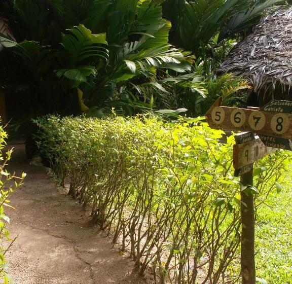 酒店 Salvador Gaviota