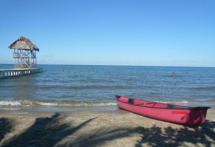 酒店 Salvador Gaviota