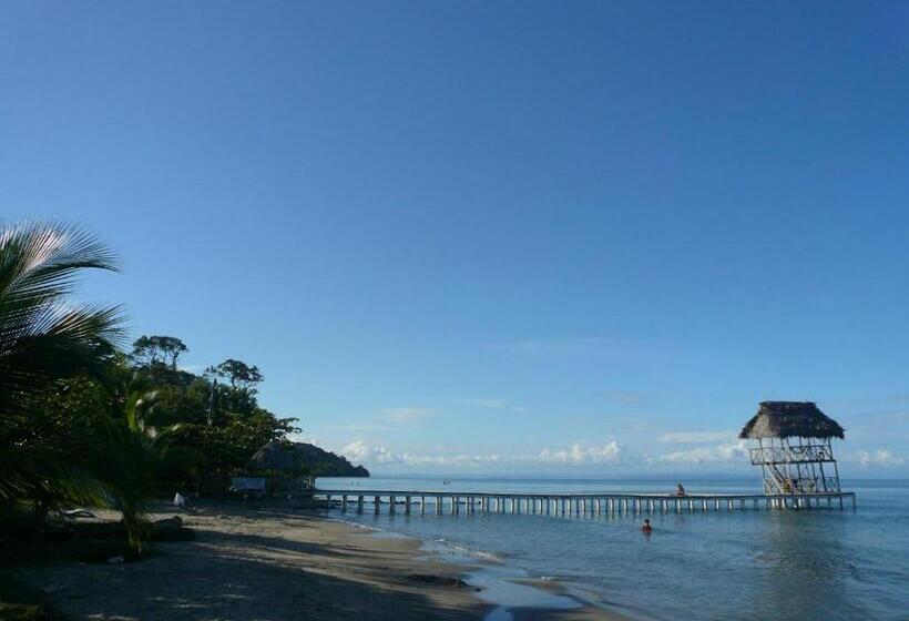 酒店 Salvador Gaviota