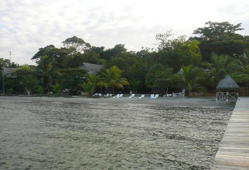 酒店 Salvador Gaviota