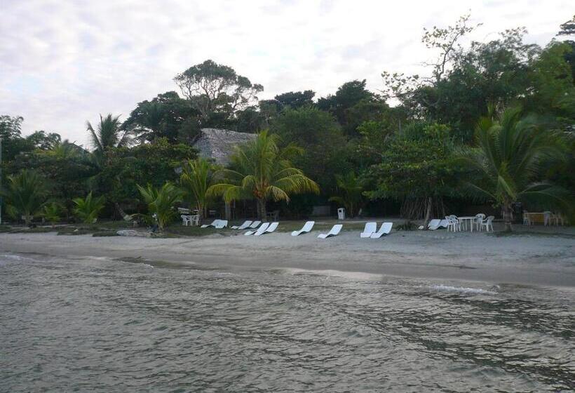 酒店 Salvador Gaviota