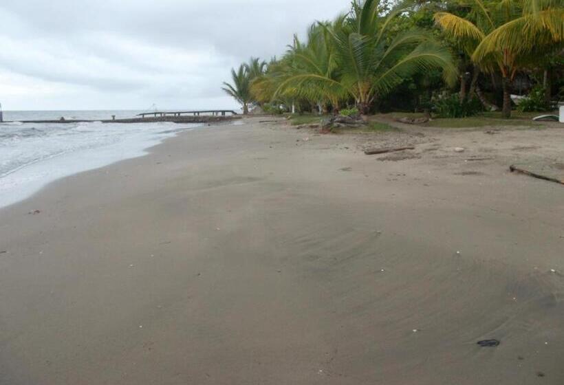 酒店 Salvador Gaviota