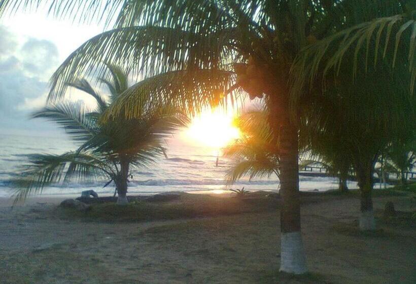 酒店 Salvador Gaviota