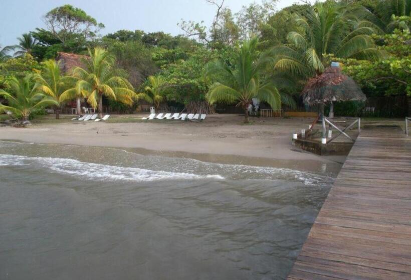 酒店 Salvador Gaviota