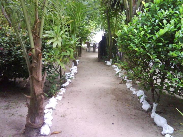 酒店 Salvador Gaviota