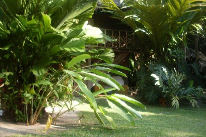 酒店 Salvador Gaviota