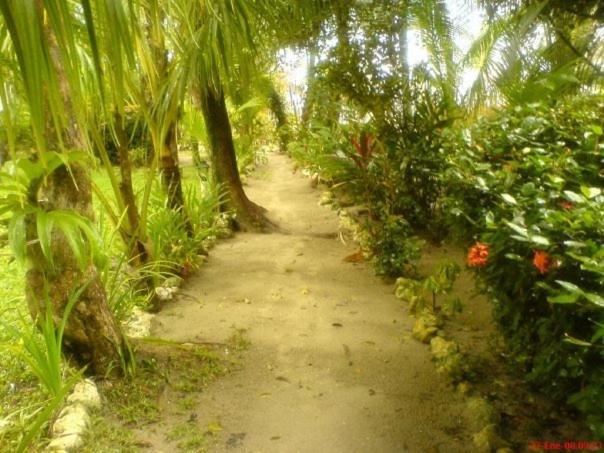 酒店 Salvador Gaviota