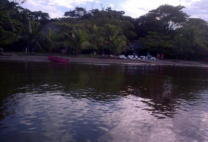 酒店 Salvador Gaviota