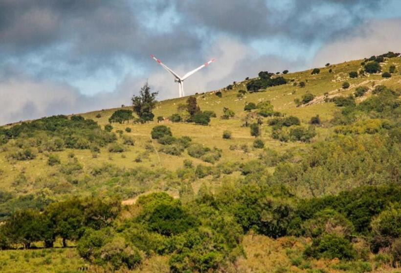 هتل San Francisco De Las Sierras