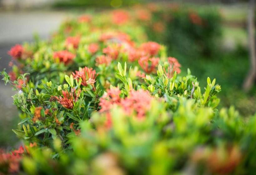 호텔 Santa Catalina Panamá